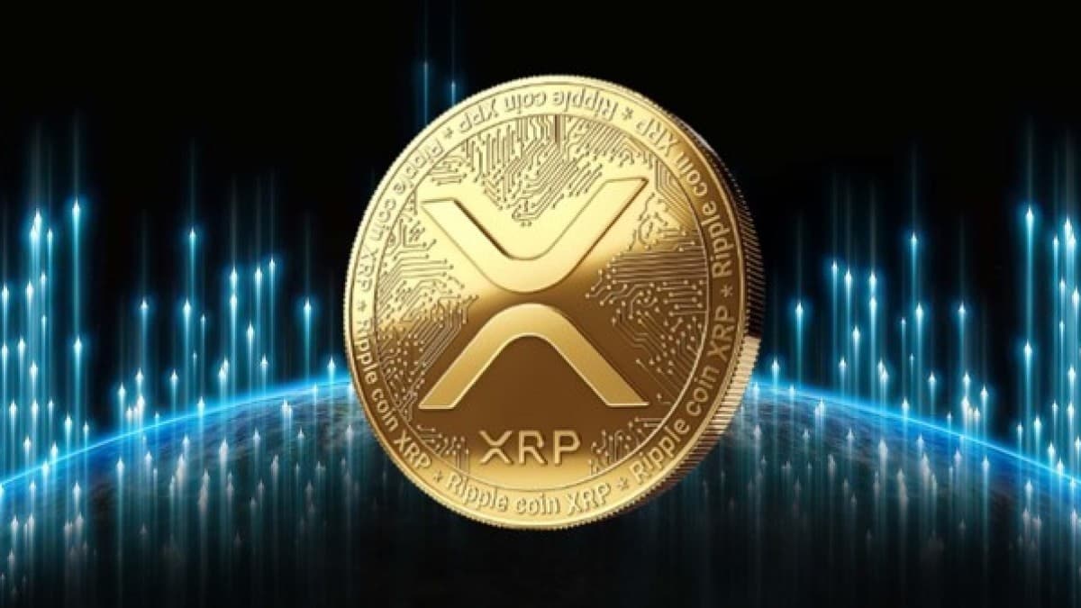 XRP Coin: Understanding the Price, Live chart and USD Price index